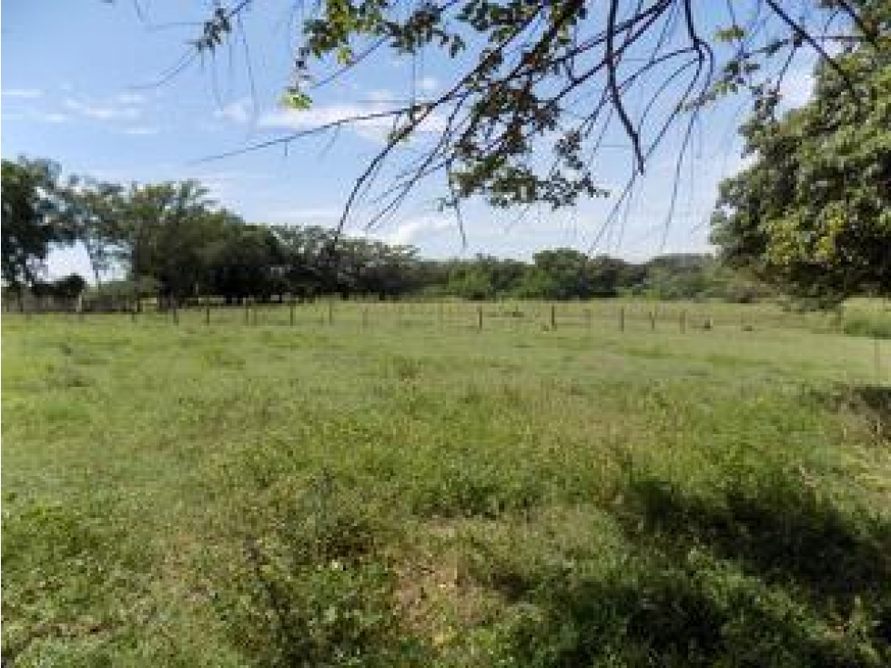 ¡Disponible ahora! Lote / Terreno en Ospina Perez — foto 4