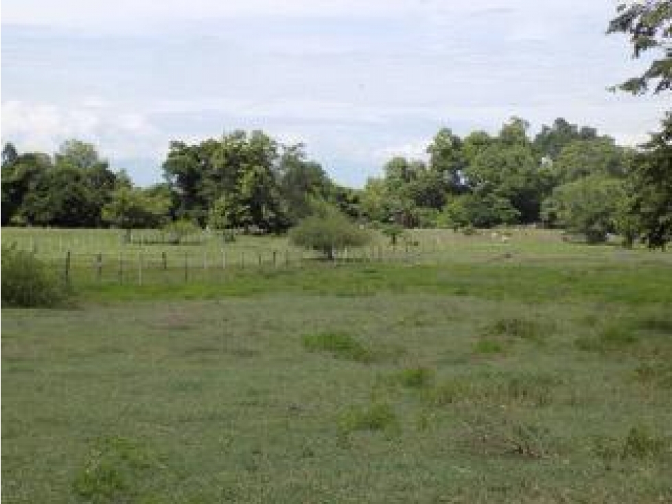 ¡Disponible ahora! Lote / Terreno en Ospina Perez — foto 5