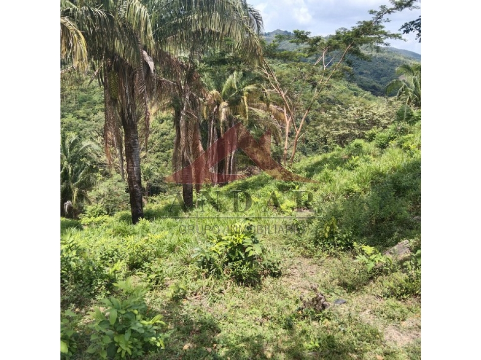 ¡Hazlo tuyo! Finca disponible en Finca La Montañuela - 1
