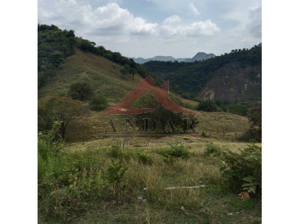 ¡Hazlo tuyo! Finca disponible en Finca La Montañuela - 2