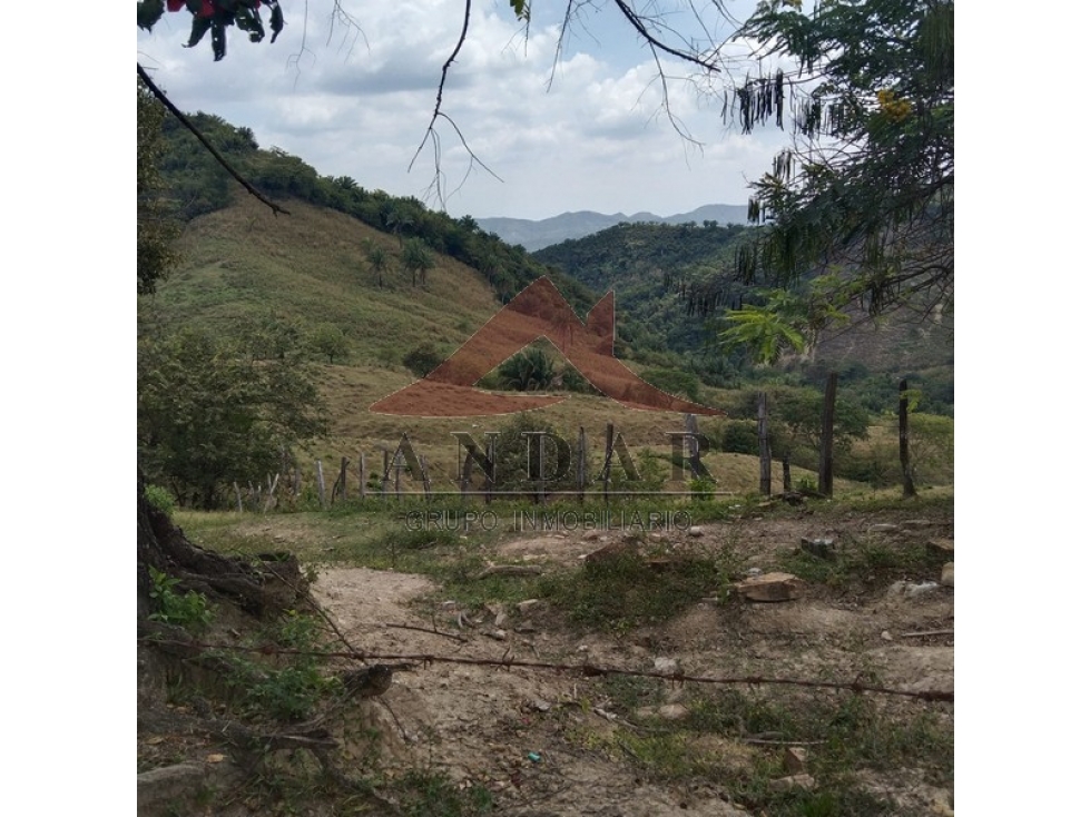 ¡Hazlo tuyo! Finca disponible en Finca La Montañuela - 3