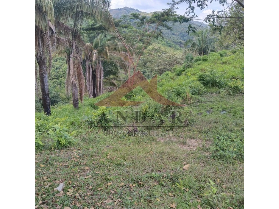 ¡Hazlo tuyo! Finca disponible en Finca La Montañuela - 6