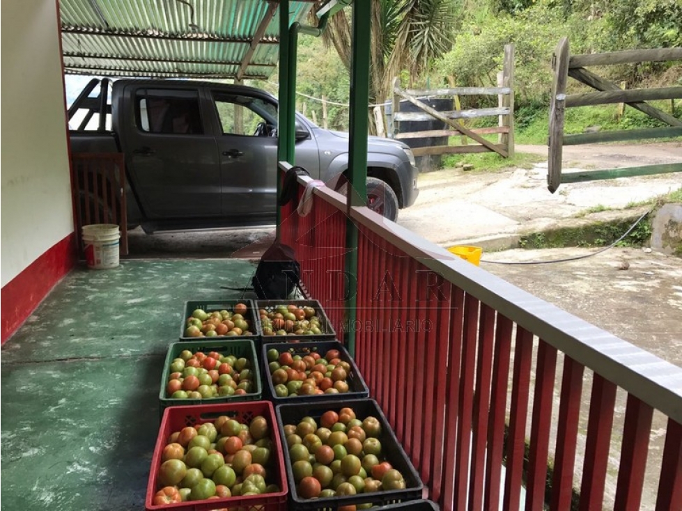 ¡En venta! Finca en Cajamarca - 3