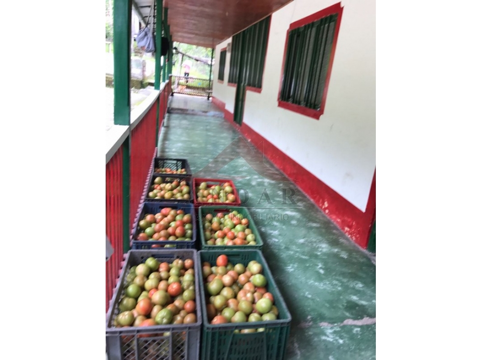 ¡En venta! Finca en Cajamarca - 4