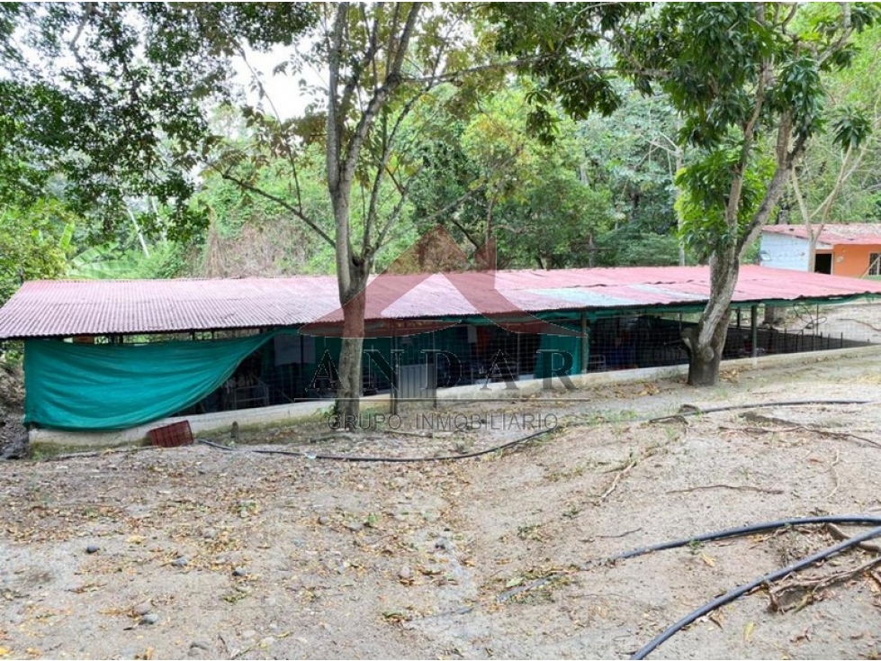 Finca Villa Nataly - 1