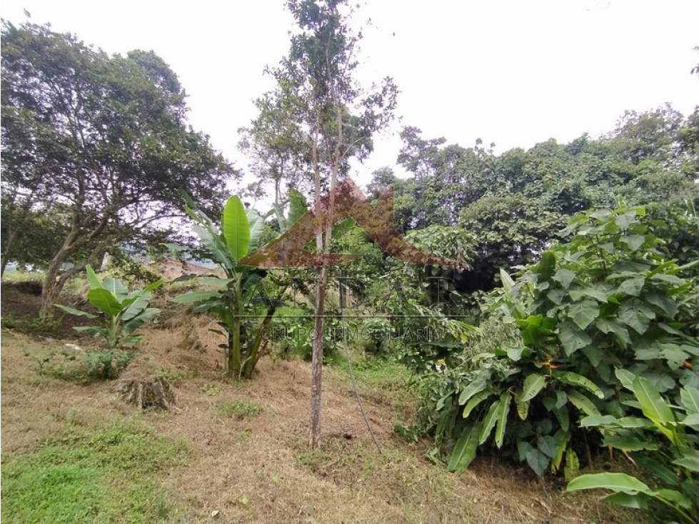 ¡Oportunidad Ãºnica! Finca en Boqueron parte baja — foto 3