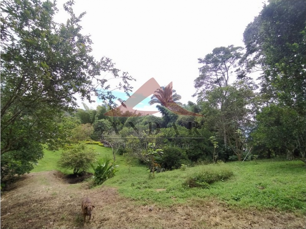 ¡Oportunidad Ãºnica! Finca en Boqueron parte baja — foto 6