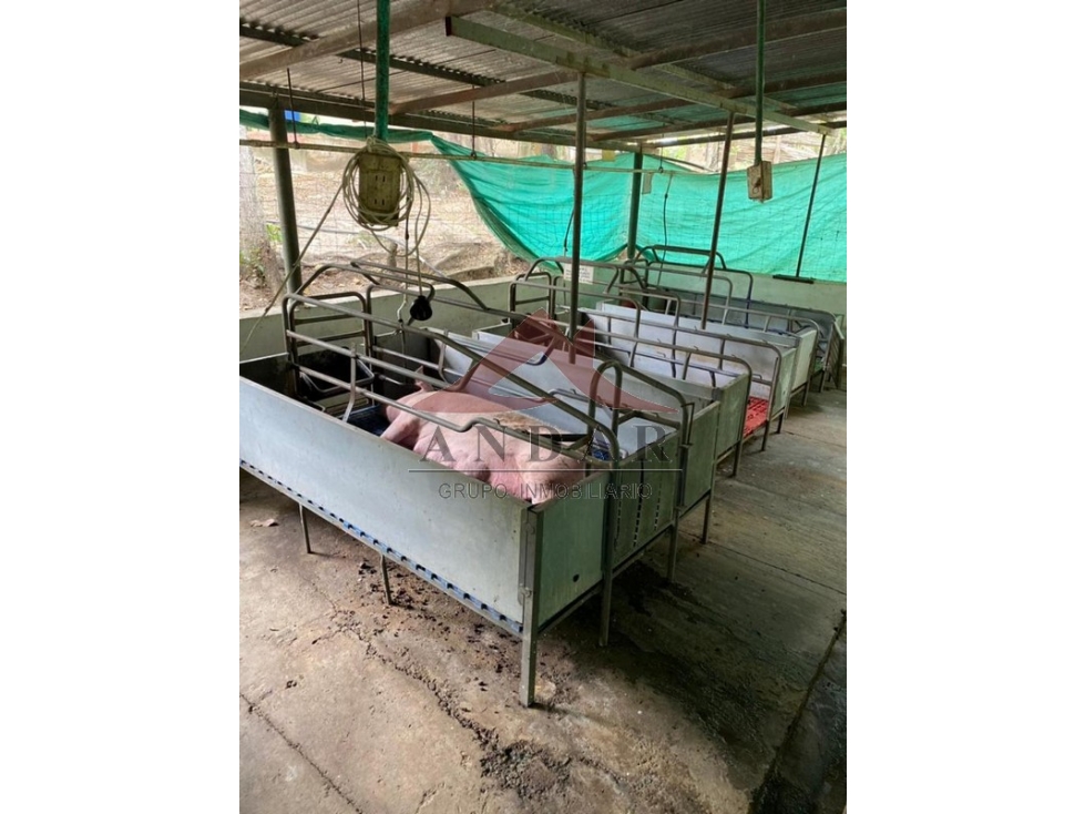 Finca Villa Nataly - 2