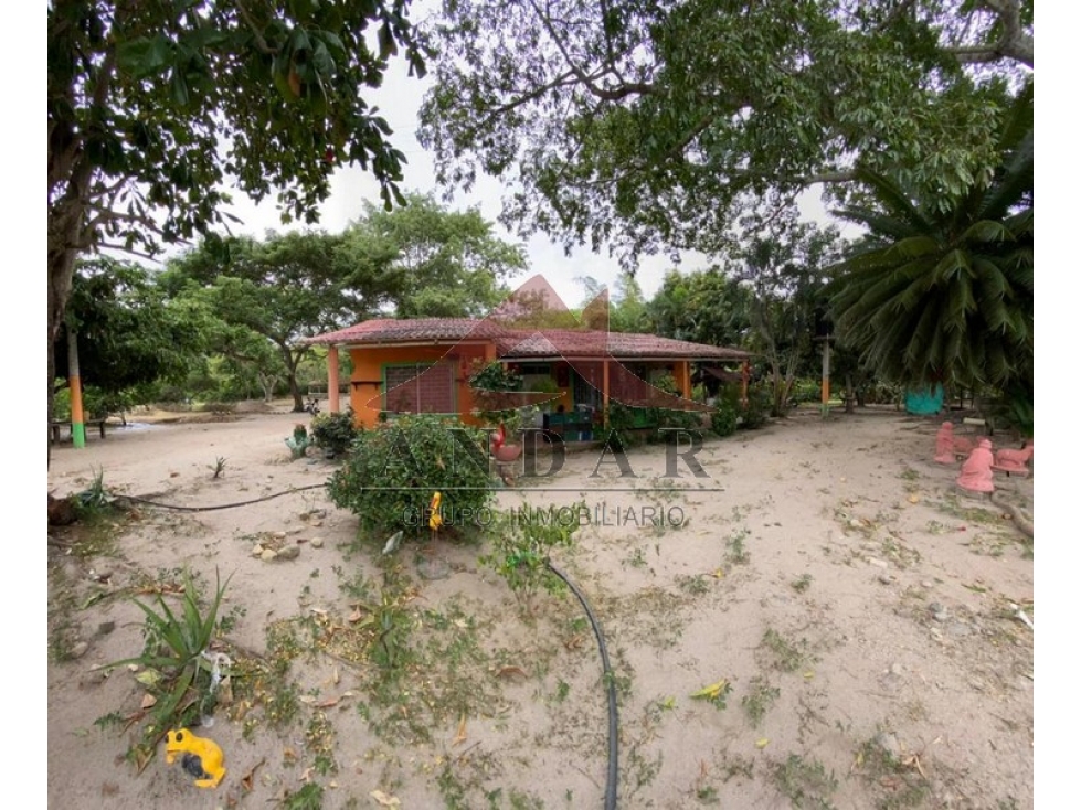 Finca Villa Nataly - 6