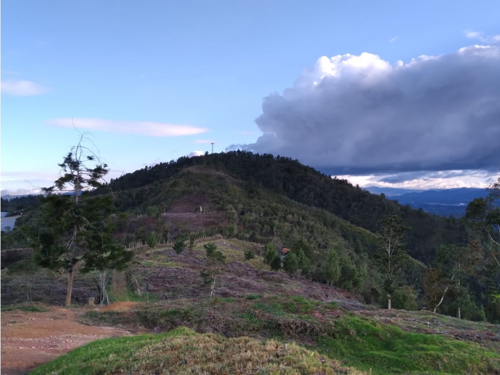 LOTE GUARNE VEREDA LA CLARITA