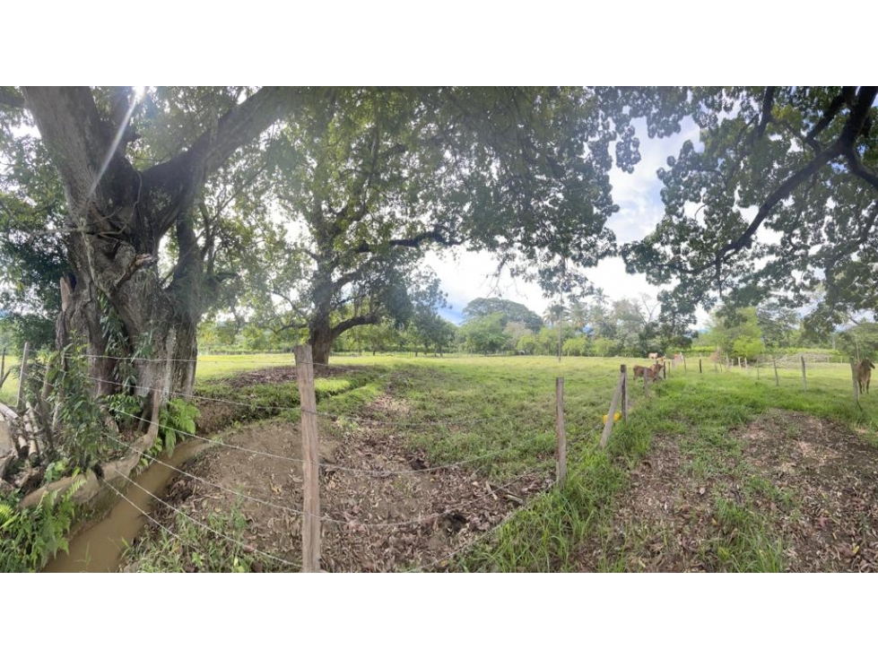 LOTE PLANO EN SANTA FÉ DE ANTIOQUIA - 1