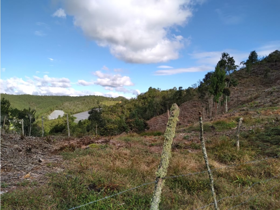 LOTE GUARNE VEREDA LA CLARITA — foto 2