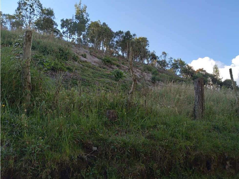 LOTE GUARNE VEREDA LA CLARITA — foto 3
