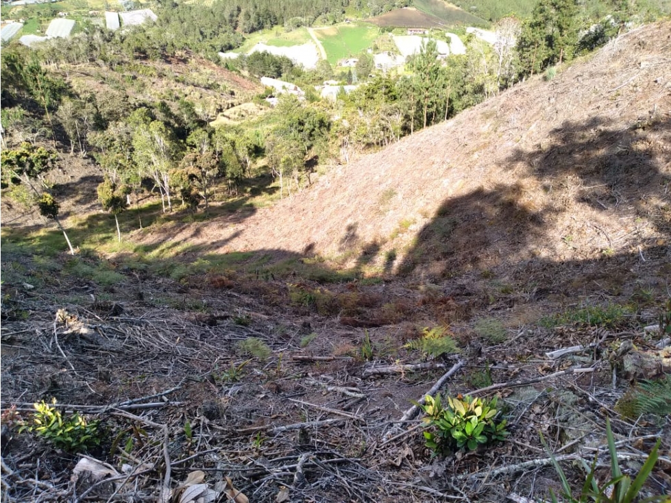 LOTE GUARNE VEREDA LA CLARITA — foto 4