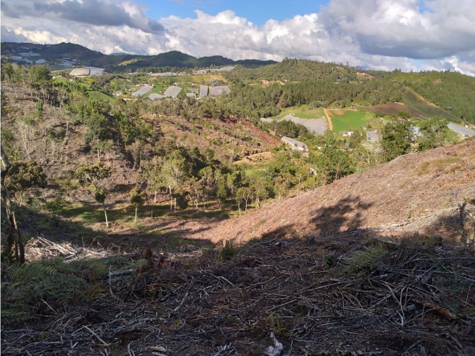 LOTE GUARNE VEREDA LA CLARITA — foto 6