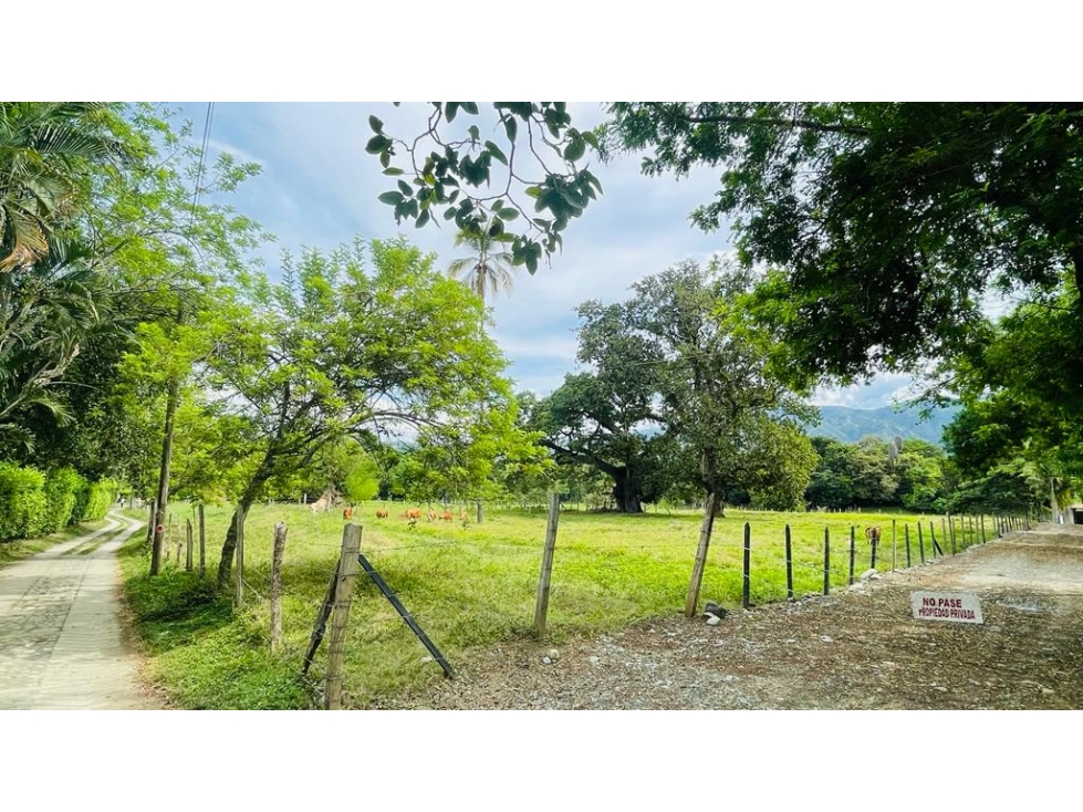 LOTE PLANO EN SANTA FÉ DE ANTIOQUIA - 2