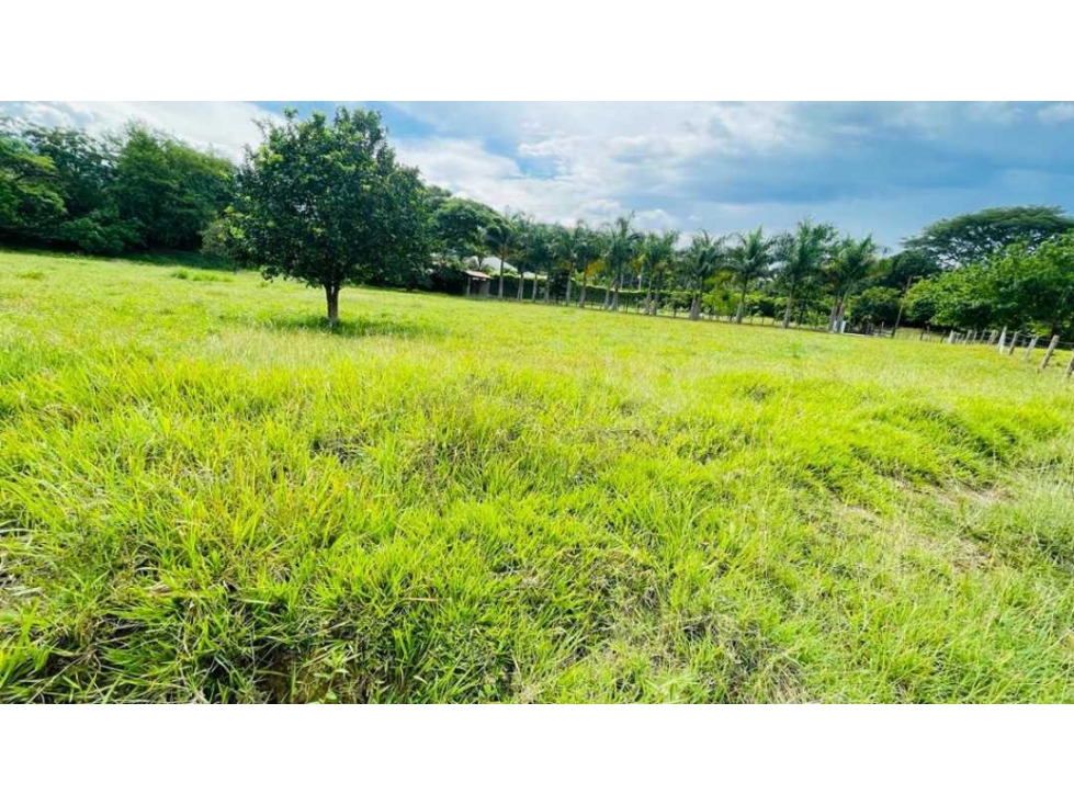 LOTE PLANO EN SANTA FÉ DE ANTIOQUIA - 3