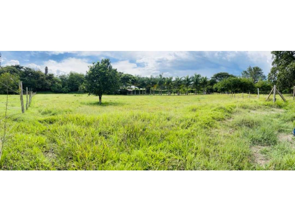 LOTE PLANO EN SANTA FÉ DE ANTIOQUIA - 4