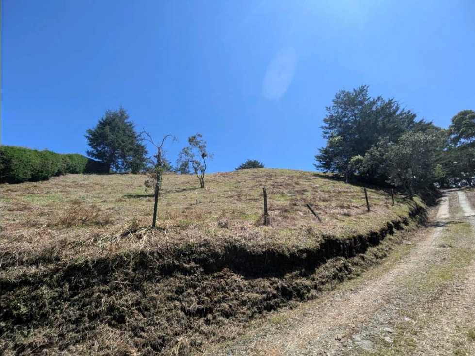 LOTE EN LA CEJA CON ESPECTACULAR VISTA