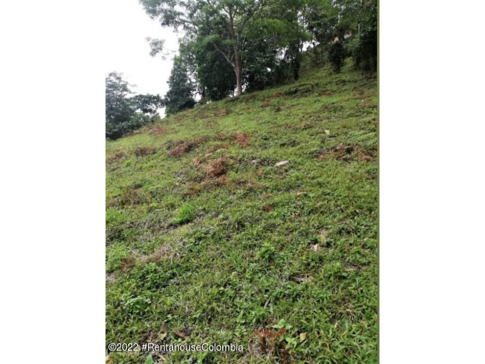 Lote en Sasaima (Cundinamarca) RAH CO: 26-429 - 1