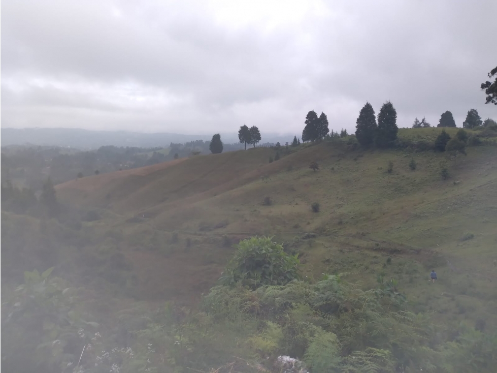 LOTE PARA USO INDUSTRAL GUARNE AUTOPISTA MED-BOG — foto 3