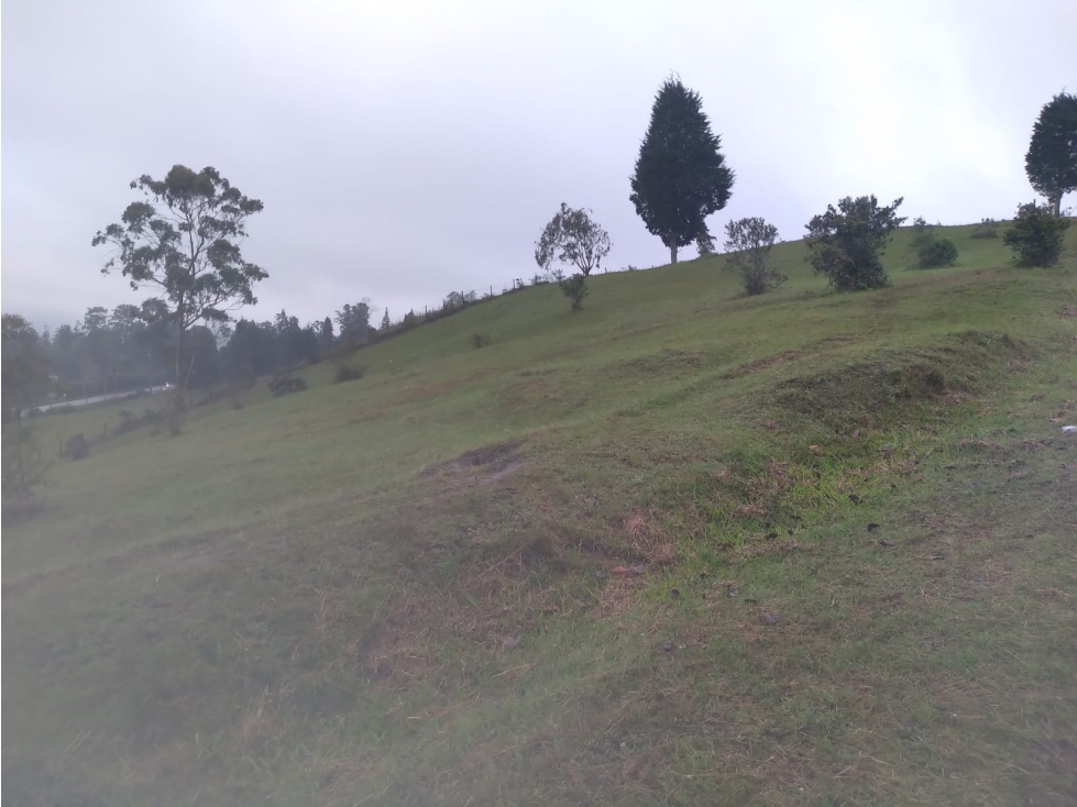 LOTE PARA USO INDUSTRAL GUARNE AUTOPISTA MED-BOG — foto 4