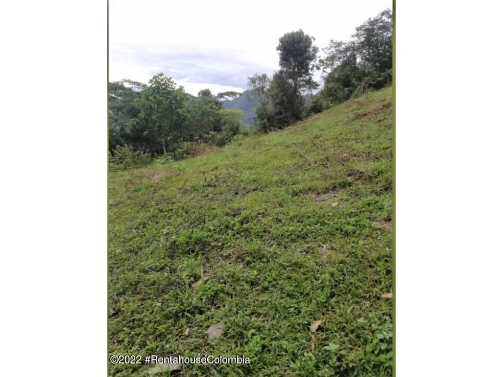 Lote en Sasaima (Cundinamarca) RAH CO: 26-429 - 2