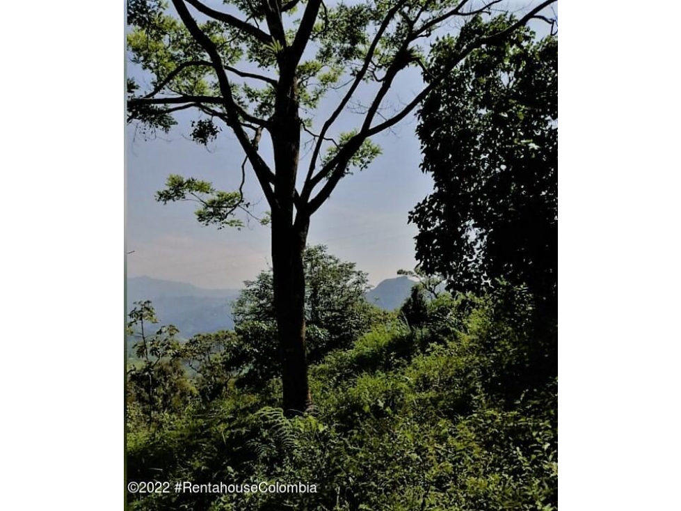Lote en Sasaima (Cundinamarca) RAH CO: 26-429 - 3
