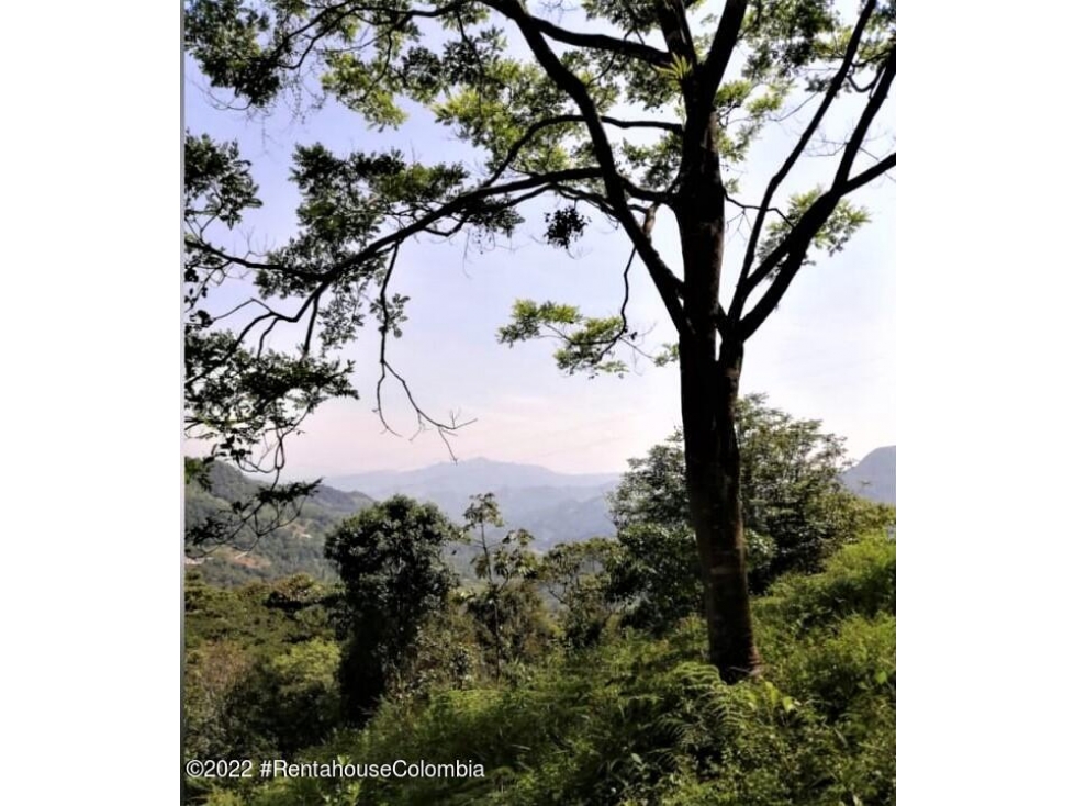 Lote en Sasaima (Cundinamarca) RAH CO: 26-429 - 6