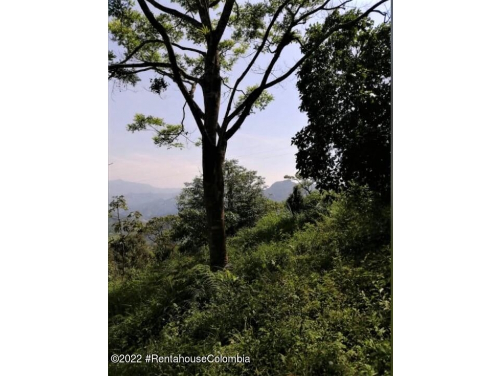 Lote en Sasaima (Cundinamarca) RAH CO: 26-429 - 4