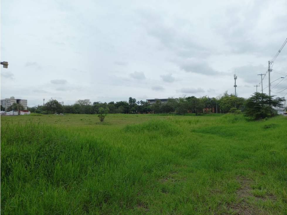 VENTA LOTE PANAMERICANA, BOCHALEMA, CALI. — foto 4