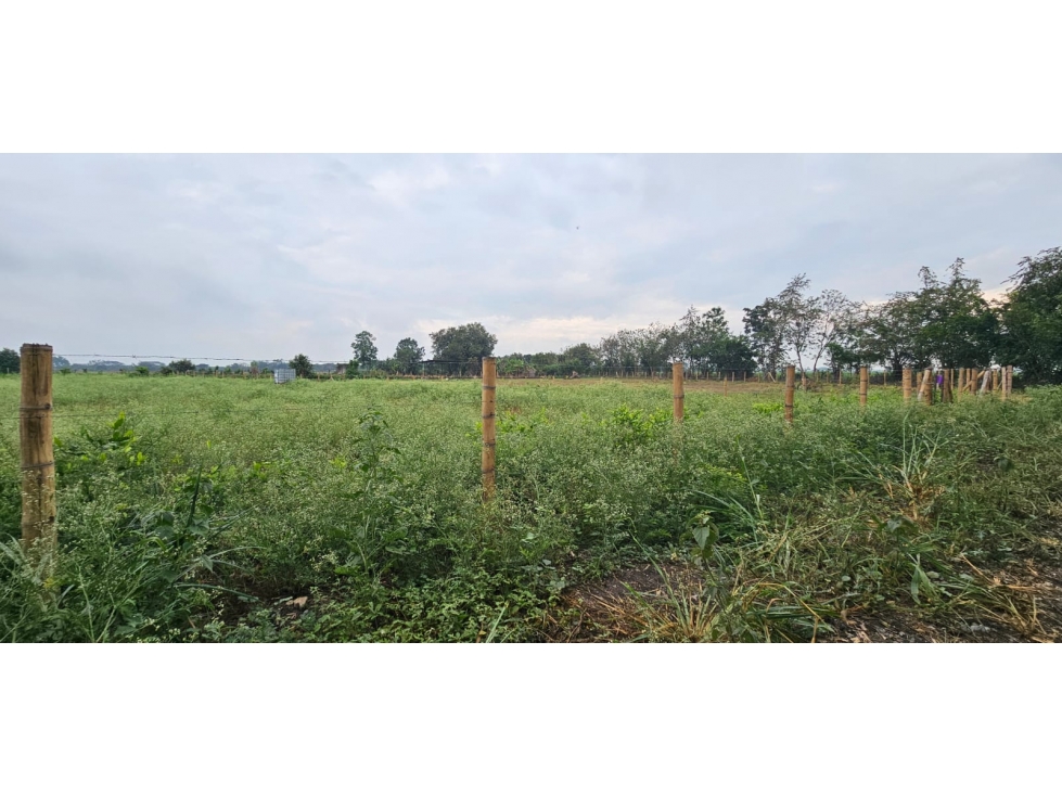 VENTA LOTES LA HERRADURA, PALMASECA,PALMIRA. — foto 2