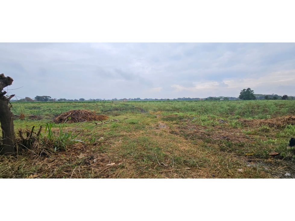 VENTA LOTES LA HERRADURA, PALMASECA,PALMIRA. — foto 4