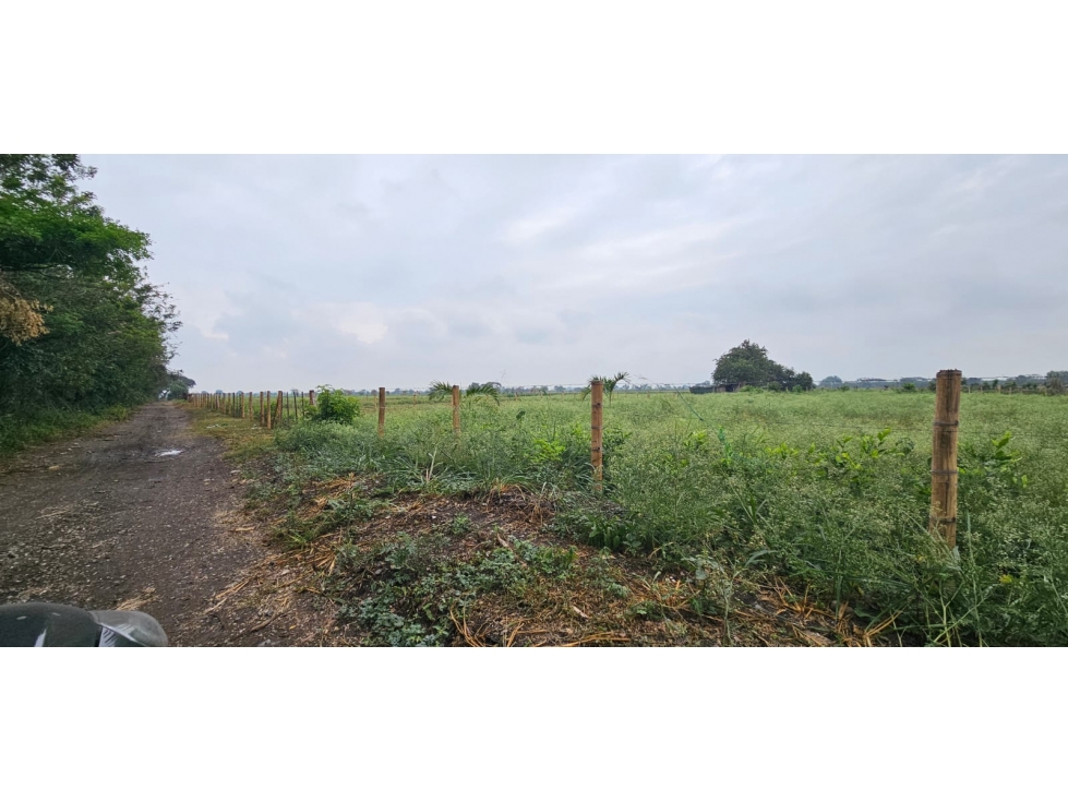 VENTA LOTES LA HERRADURA, PALMASECA,PALMIRA. — foto 5