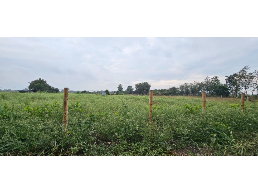 VENTA LOTES LA HERRADURA, PALMASECA,PALMIRA. — foto 6