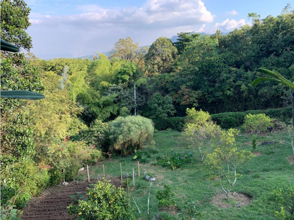 DAPA, ESTABAS BUSCANDO UNA FINCA COMPLETA SIN DUDA ESTA - 4