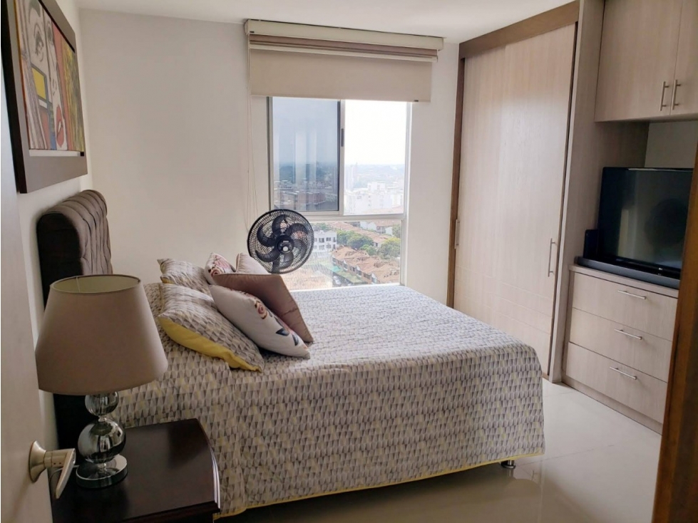 VISTA PANORAMICA EN KERETARO DEL VIENTO EN LA FLORA — foto 4