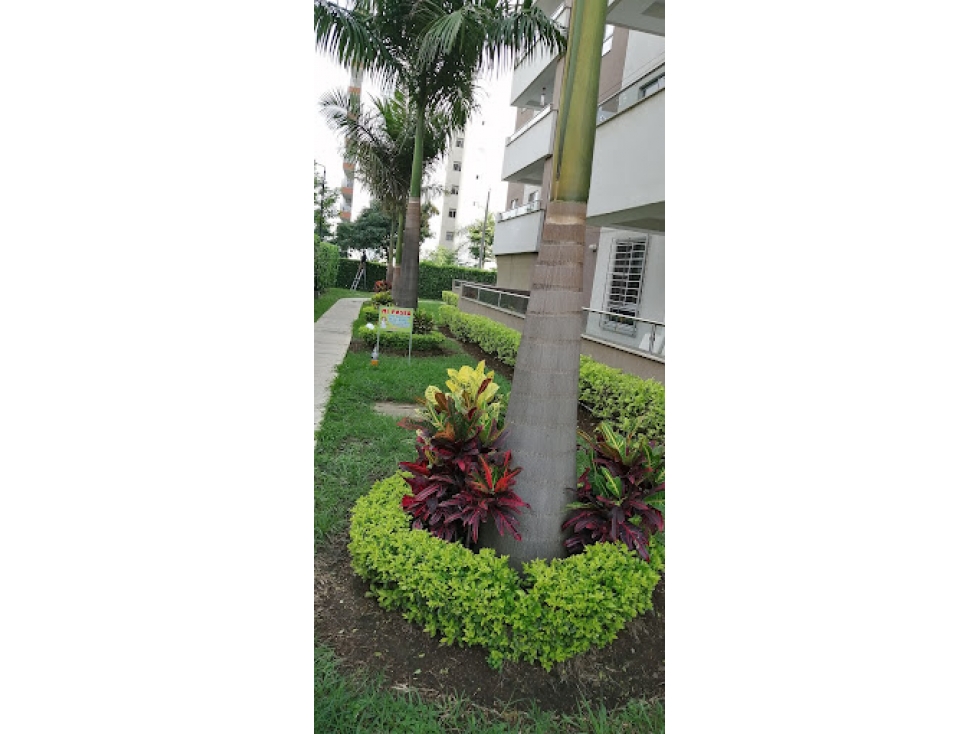 ZAGUAN DE LAS FLORES FRESCURA TRANQUILIDAD ARMONÍA FLORA 2026 — foto 4