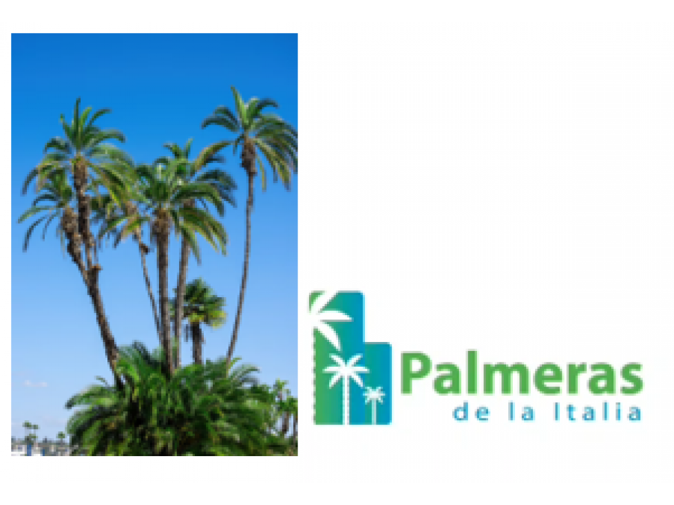 PALMERAS DE ITALIA JAMUNDÍ PASO DE LA BOLSA UN PARAÍSO DISFRUTALO - 1