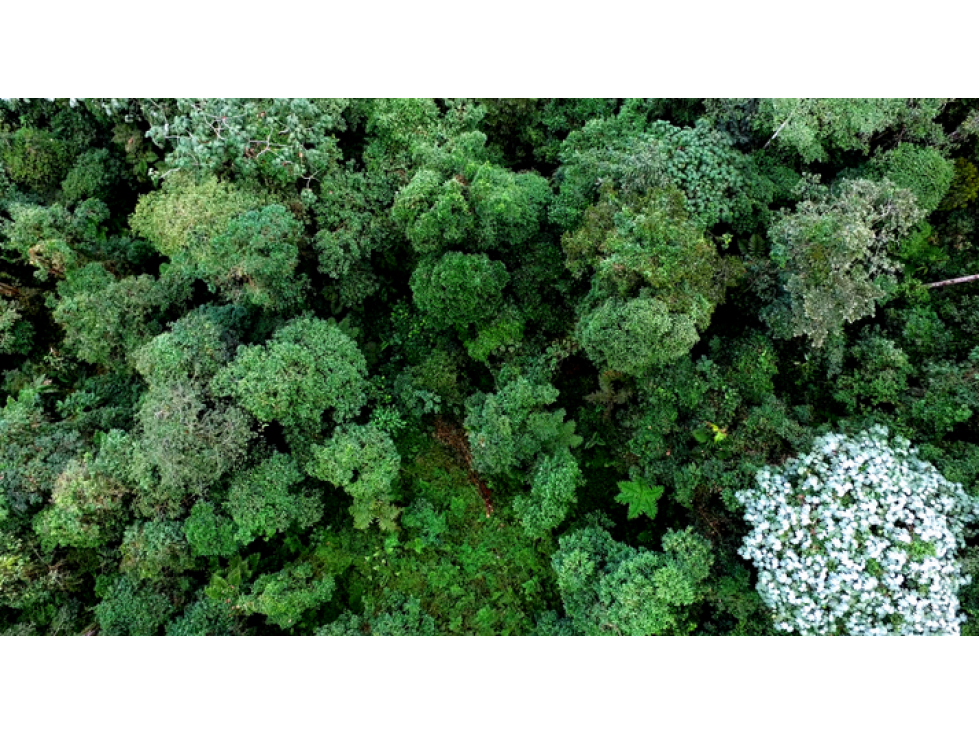 DAPA ALQUILA DAPA 2 FINCA CAMPESTRE DIC 2023 — foto 5