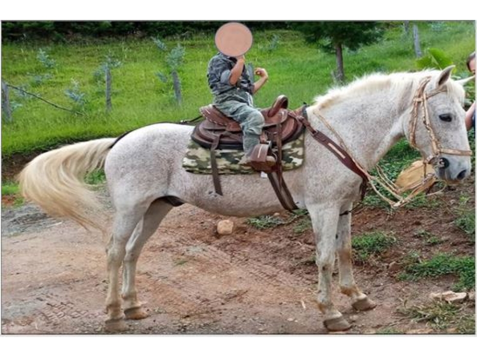DAPA GRAN FINCA EN DAPA GANADO CABALLOS 32250 M2 US$ 970,000 DÓLARES — foto 2
