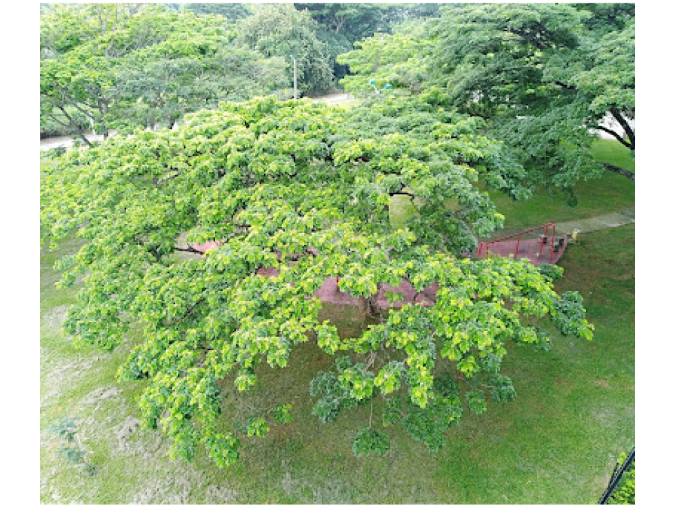 BOCHALEMA VISTA PANORÁMICA FRESCURA TRANQUILIDAD ARMONÍA C250226 — foto 3