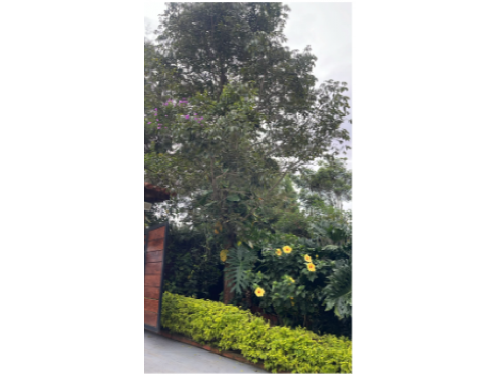 TOCOTA CERCA VIA MAR CASA DE CAMPESTRE MODERNA 170926 C — foto 6