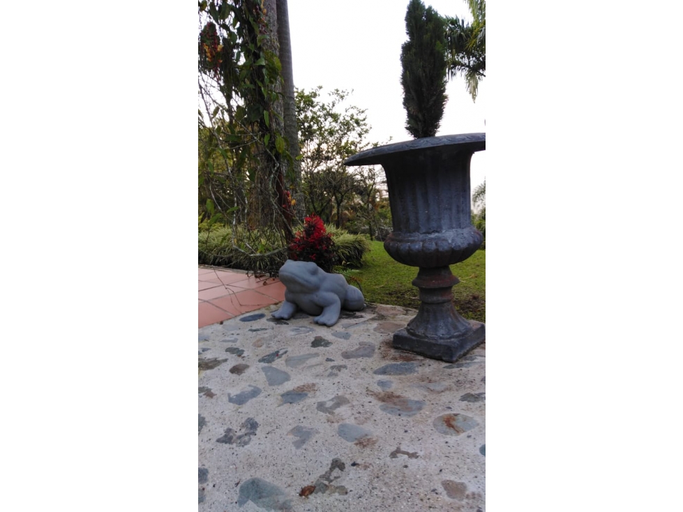 VENTA FINCA EN VENECIA, VEREDA VILLA SILVIA - 1