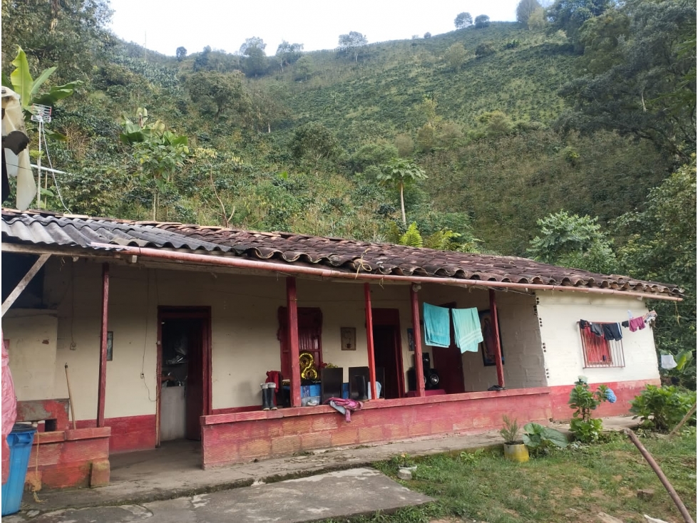 VENTA FINCA CAFETERA EN BETANIA, VEREDA TRAVESIAS