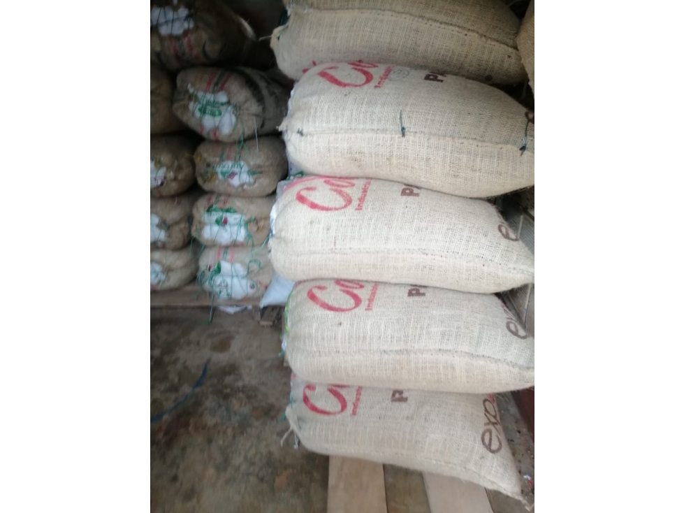VENTA FINCA EN CONCORDIA, VEREDA BURGOS - 1