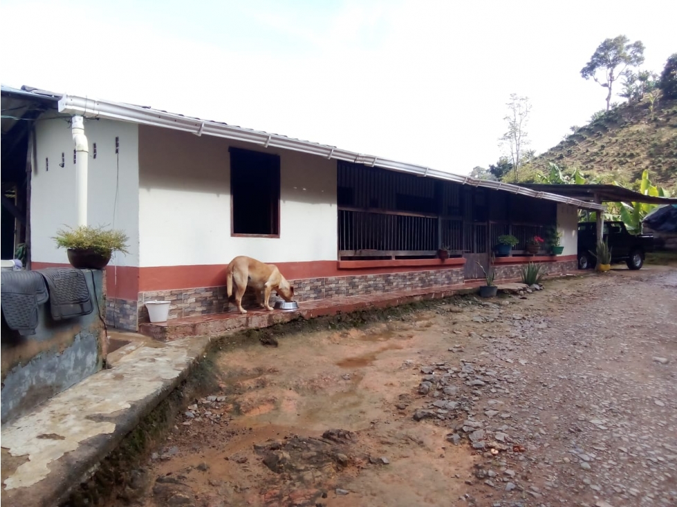 VENTA FINCA EN JARDÍN, ALTO DEL INDIO - 5