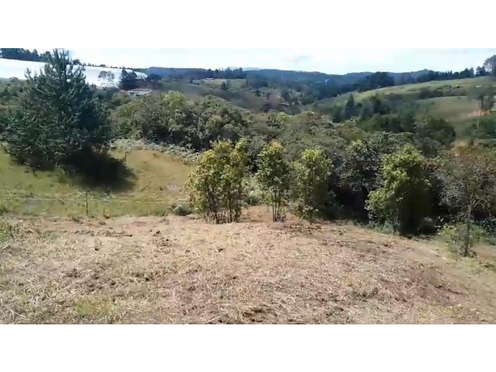 VENTA DE LOTE EN GUARNE, VEREDA PIEDRAS BLANCAS — foto 5