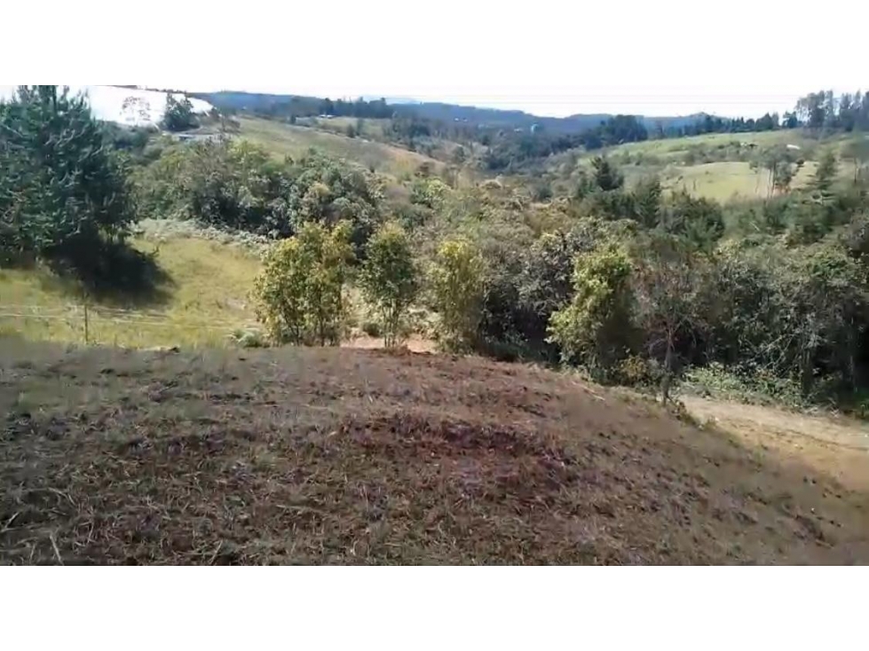 VENTA DE LOTE EN GUARNE, VEREDA PIEDRAS BLANCAS — foto 6