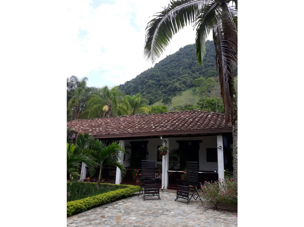 VENTA FINCA EN VENECIA, VEREDA VILLA SILVIA - 6